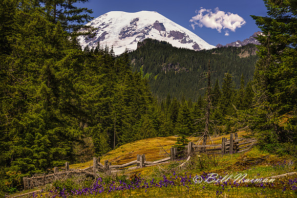 Mount Rainier