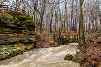 Plum Creek_February 07, 2017_9722