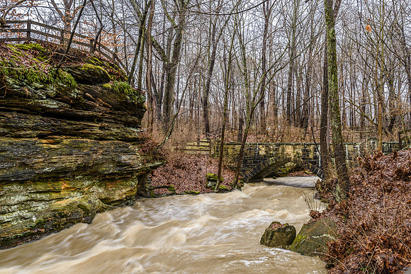 Plum Creek_February 07, 2017_9722