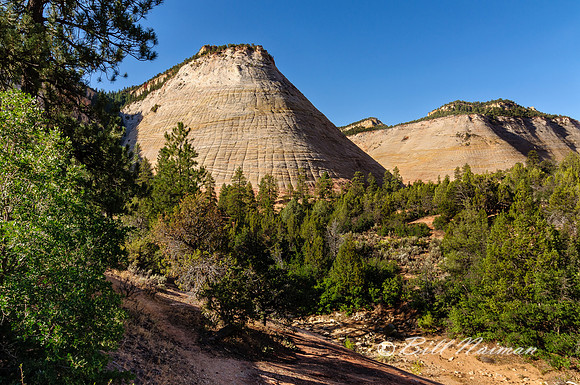 Zion 2012 - Checkerboard Mesa