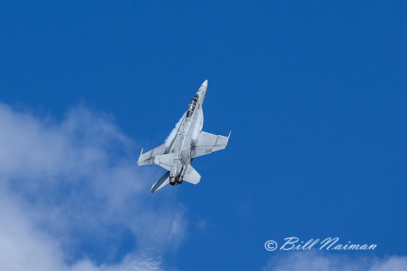 Navy A-18 Super Hornet-2025_09_01-4208