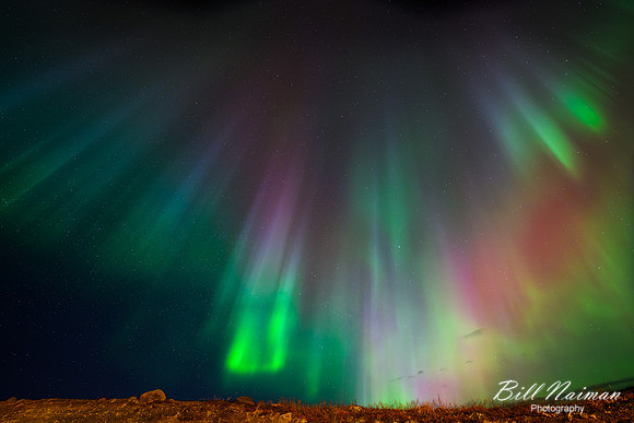 Northern Lights-2025_03_22-0257
