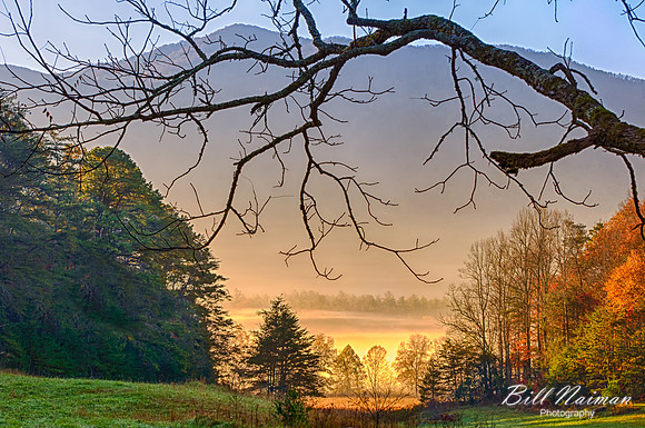 Cades Cove - Ablaze in Morning Fog - 2012