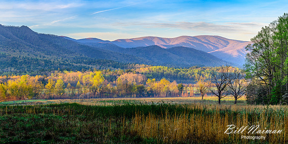 Cades Cove - Meadow Pano 2X1 -2023 (2)