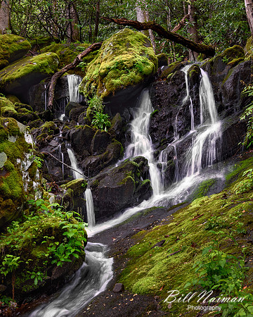 Tremont Roadside Falls - 2017 (2)