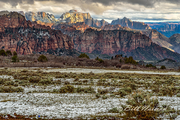 Zion 2016 - Kolob Terrace Road (5)