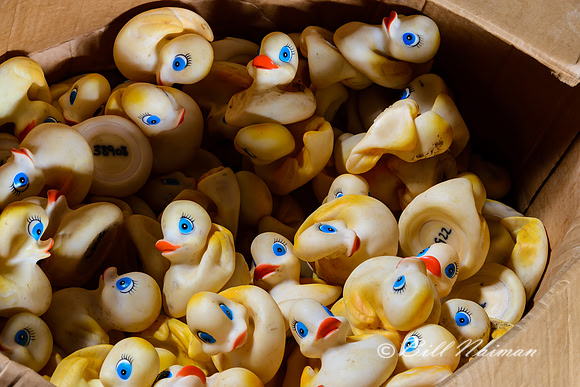 Rubber Duck Warehouse (4)