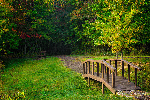 Trail Near Beyer's Pond