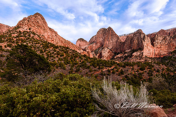 Zion 2016 - Kolob Canyons (6)