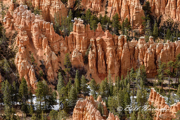 Bryce Point 2016 - Hoodoos (1)