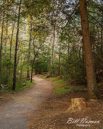 Cades Cove John Oliver Cabin Trail -2023