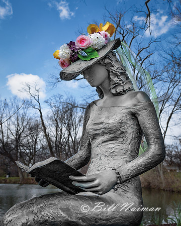 The Reader