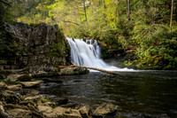Abrams Falls -2023 (1)