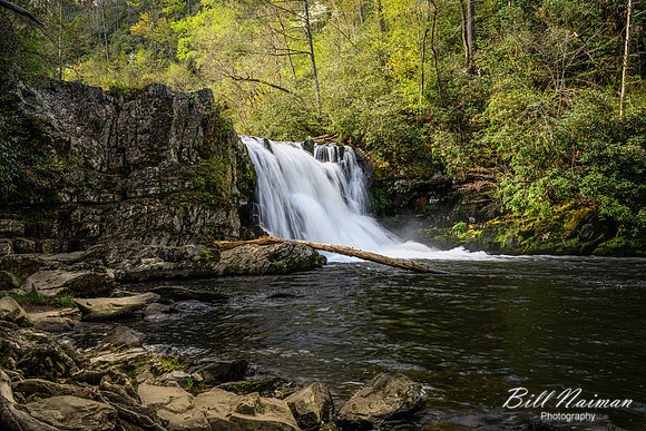 Abrams Falls -2023 (1)
