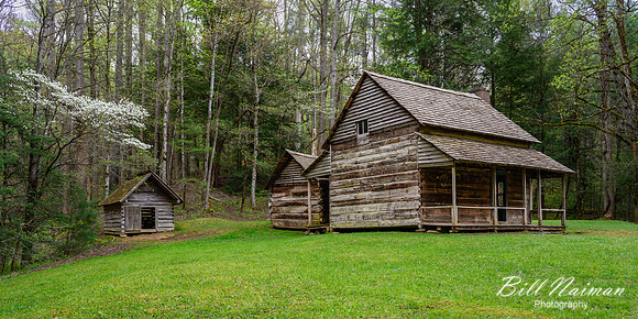 Henry Whitehead Place -2023 (1)
