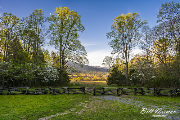 Cades Cove John Oliver Cabin Front Yard -2023 (2)