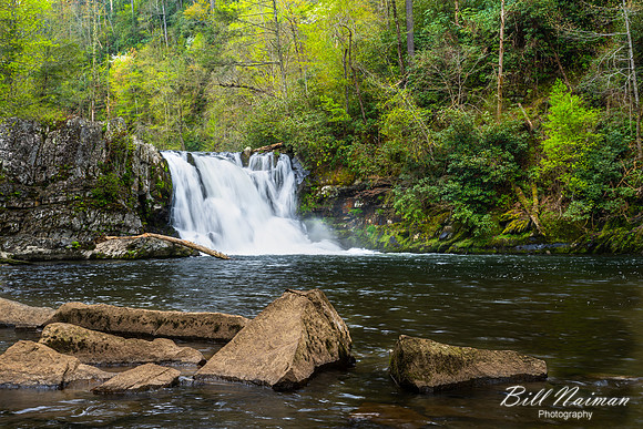 Abrams Falls -2023 (2)