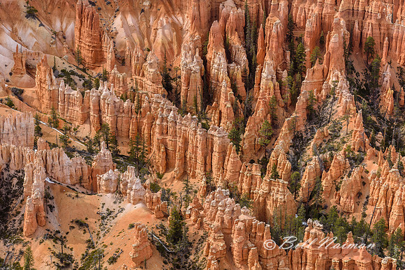 Bryce Point 2016 - Hoodoos (2)