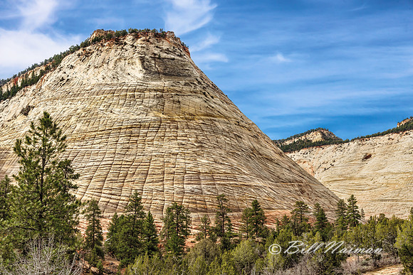 Zion 2016 - Checkerboard Mesa