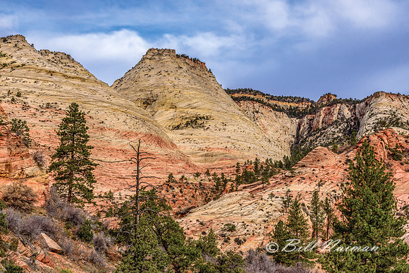 Zion 2016 - Mt Carmel Highway (1)