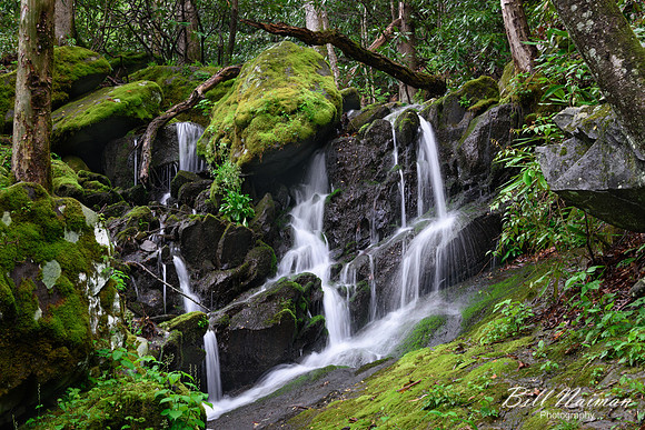 Tremont Roadside Falls  - 2017 (1)