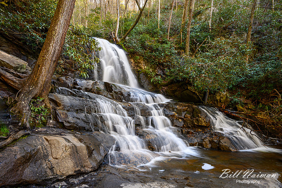 Laurel Falls -2023