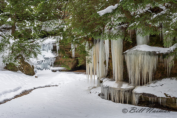 Hocking Hills Cedar Falls Looking Back - 2021