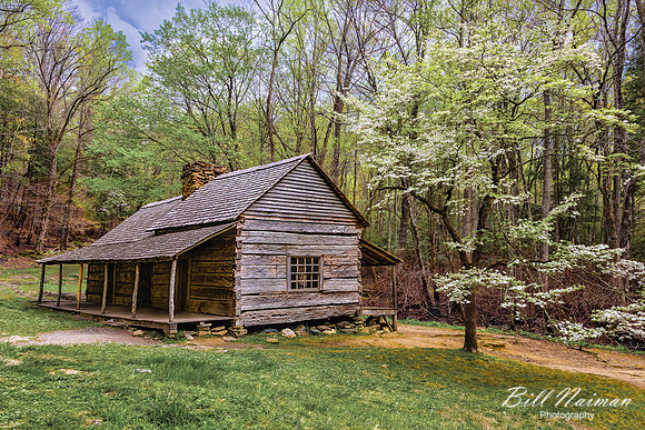 Bud Ogle Cabin - 2017 (1)