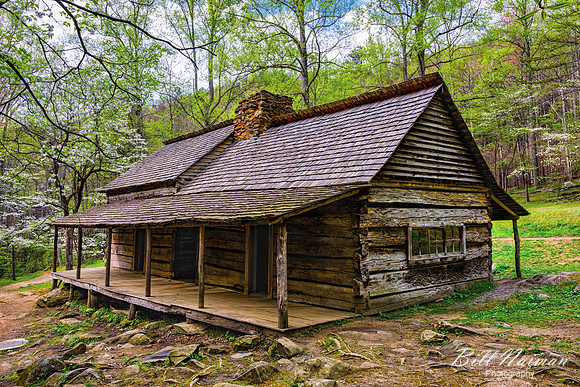 Bud Ogle Cabin - 2017 (2)