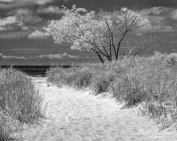 Mentor Headlands Beach - Infrared B&W (2)