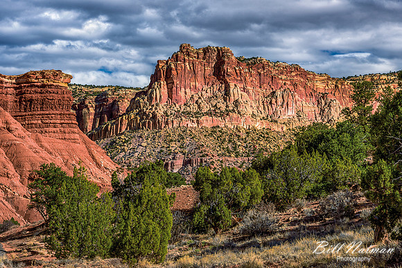 Capitol Reef 2016 (5)