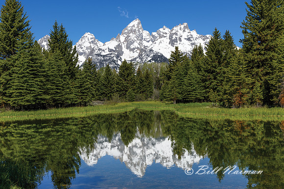 Grand Teton Schwabacher's Landing