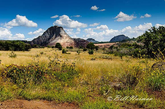 Kolob Terrace Road - 2012