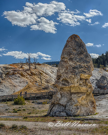 Liberty Cap