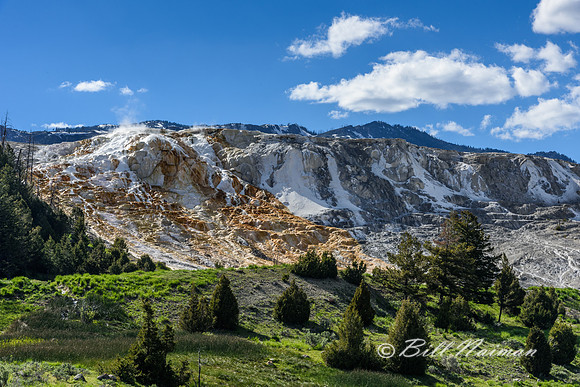 Mammoth Hot Springs (1)