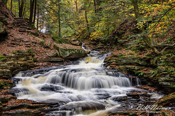 Seneca Falls - 12 ft