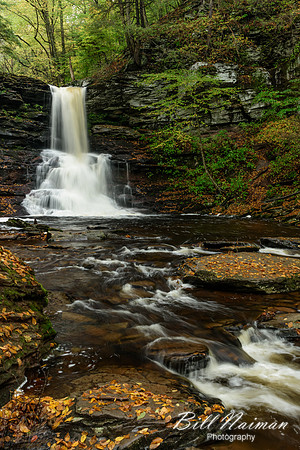 Sheldon Reynolds Falls - 36 ft