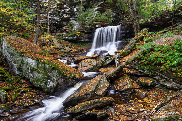B Reynolds Falls - 40 ft