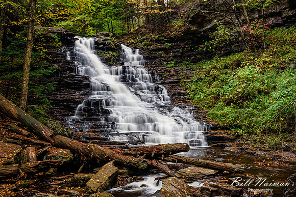F L Ricketts Falls- 38 ft