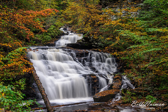 Mohican Falls - 39 ft