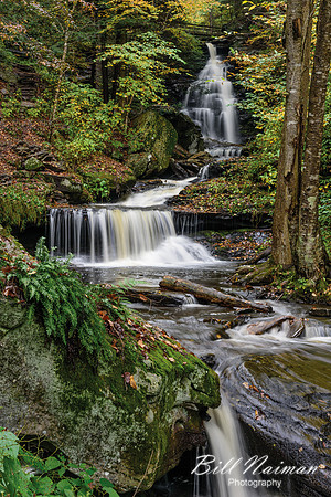 Ozone Falls (1) - 60 ft