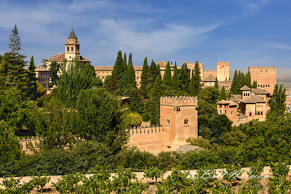 Alhambra (4)