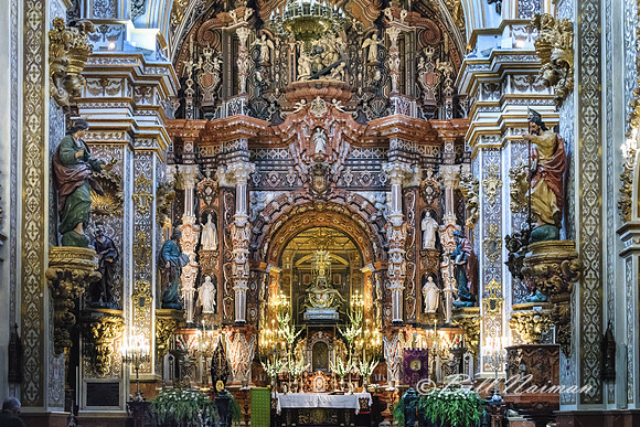 Granada Church - La Virgen de las Angustias (3)