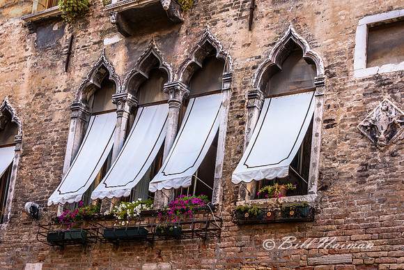 Venice House (2) - Windows