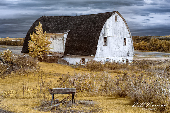 Barn in NY State (2) - Infrared B&W