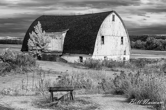 Barn in NY State (2) - Infrared Faux Color