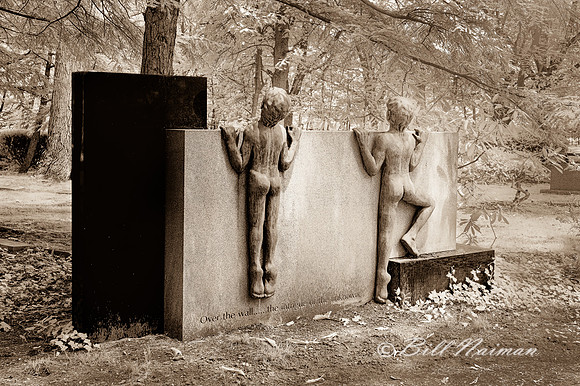 Lakeview Cemetery - Over the Wall Infrared Sepia 2021