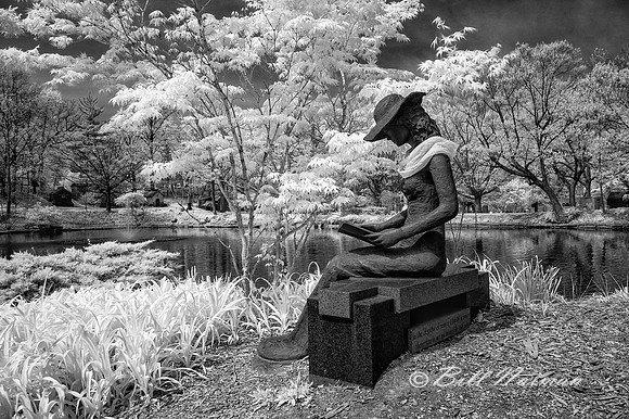 Lakeview Cemetery - The Reader Infrared B&W 2021