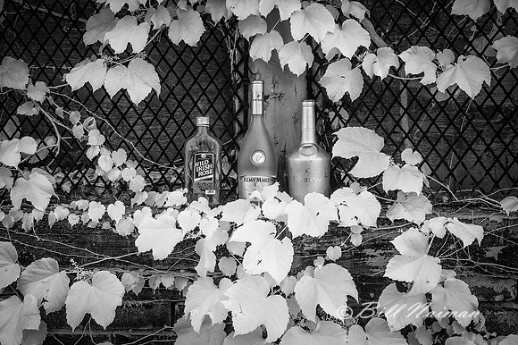 Beverage Stand Infrared B&W - 2021
