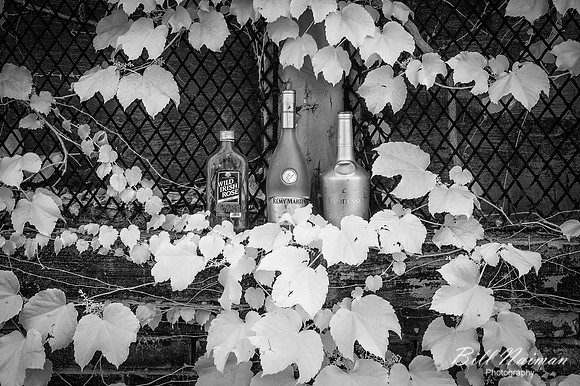Beverage Stand Infrared B&W - 2021